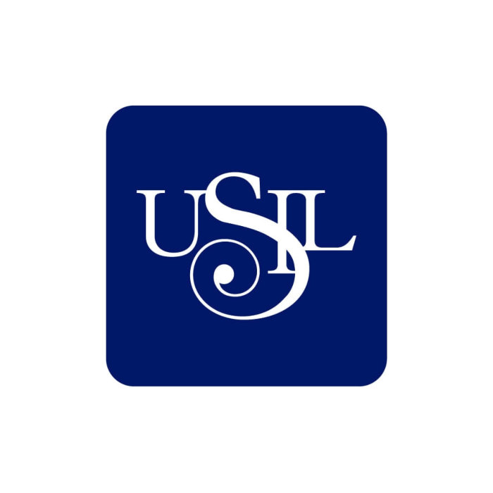 Universidad San Ignacio de Loyola